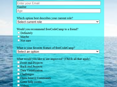 Survey Form Project
